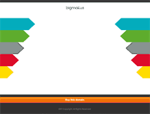 Tablet Screenshot of bigmail.us